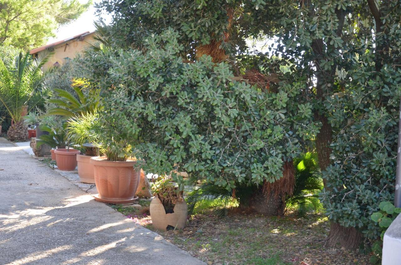 Il Paradiso Di Giacomo Erice Exteriör bild