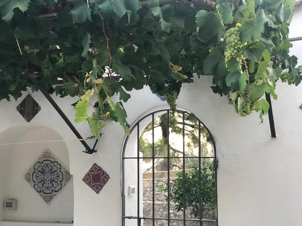 Il Paradiso Di Giacomo Erice Exteriör bild
